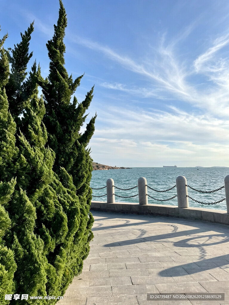 海边步道旁的葱郁绿植