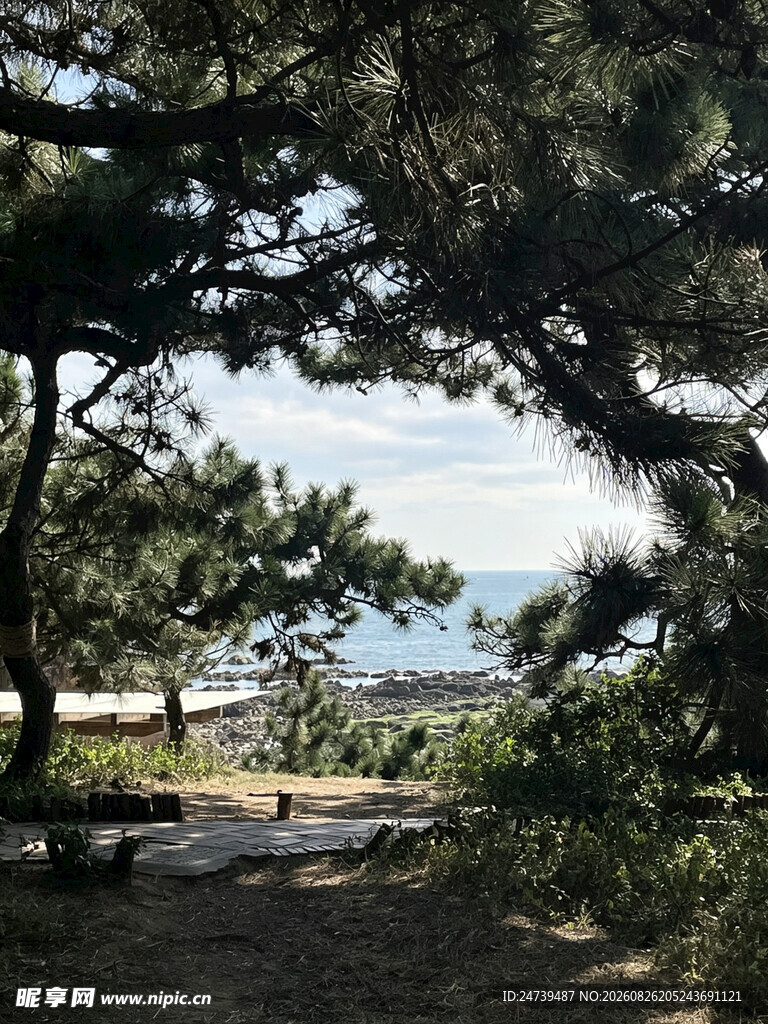 林间小径邂逅自然之美