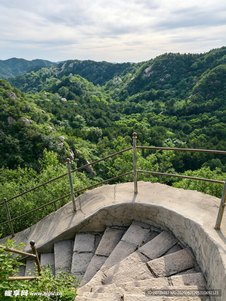 山间观景台俯瞰葱郁山林