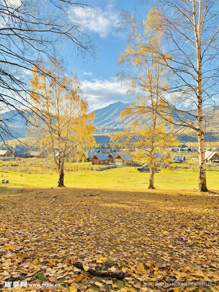 秋日山林美景