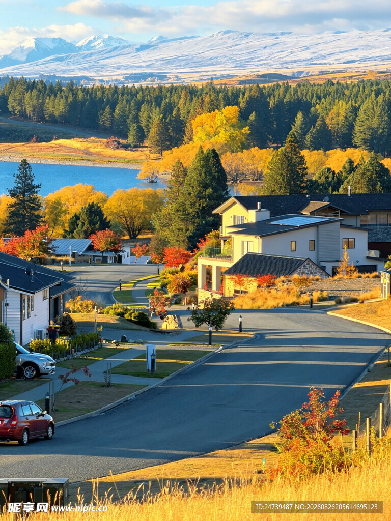 秋日金黄树林美景