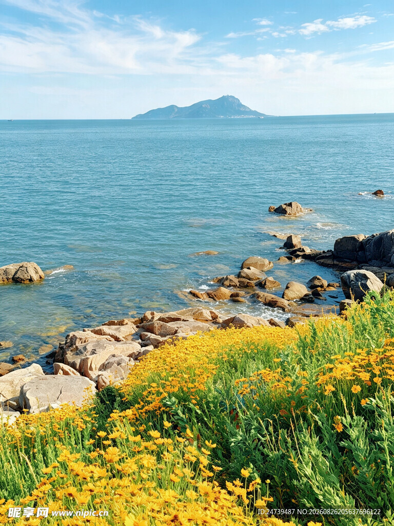 海边黄花与远山美景