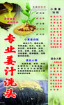 姜汁洗头