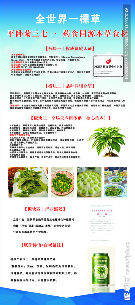 平卧菊三七展架