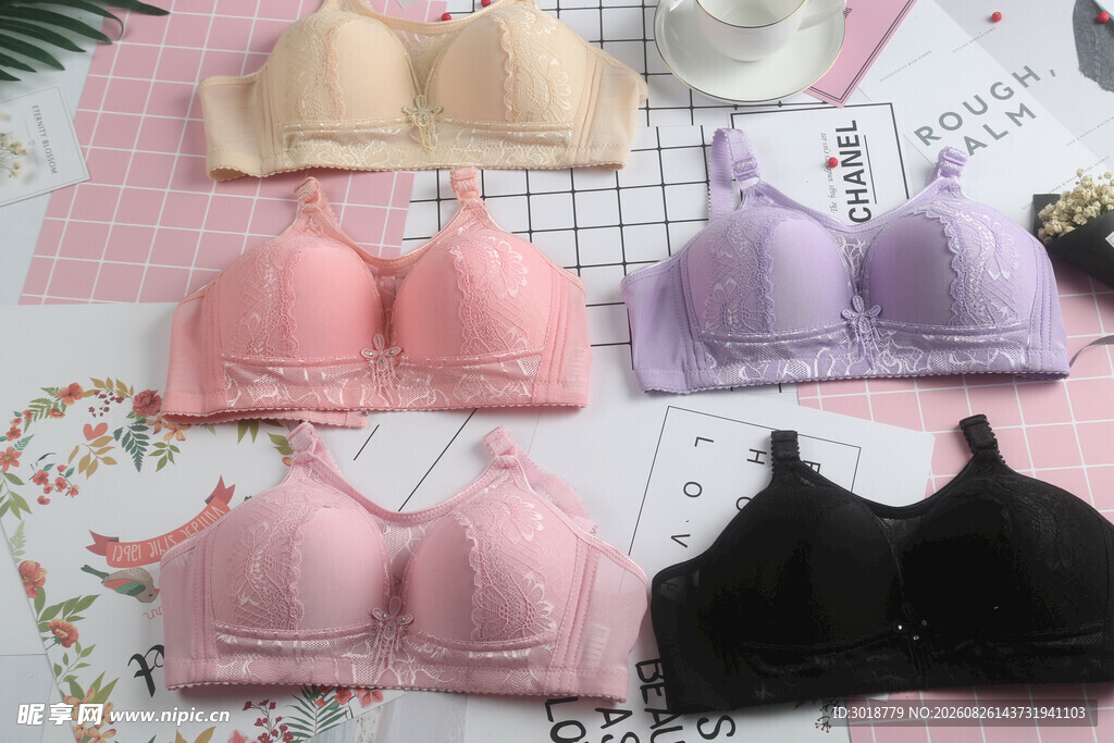 多款女士内衣展示