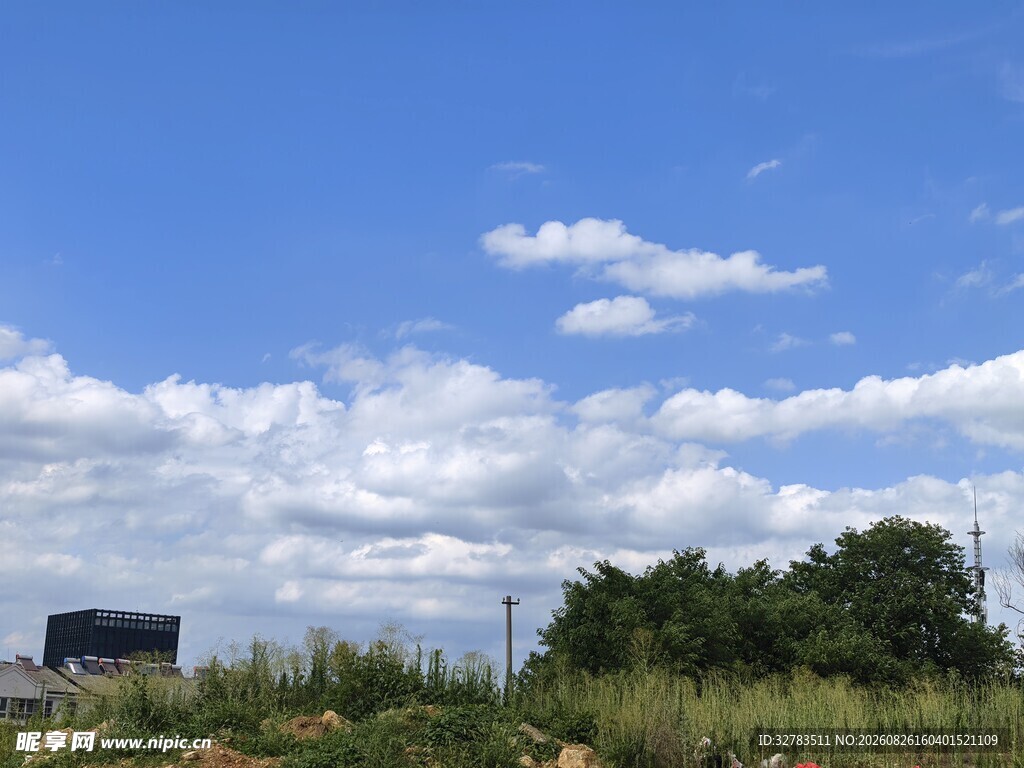 旷野