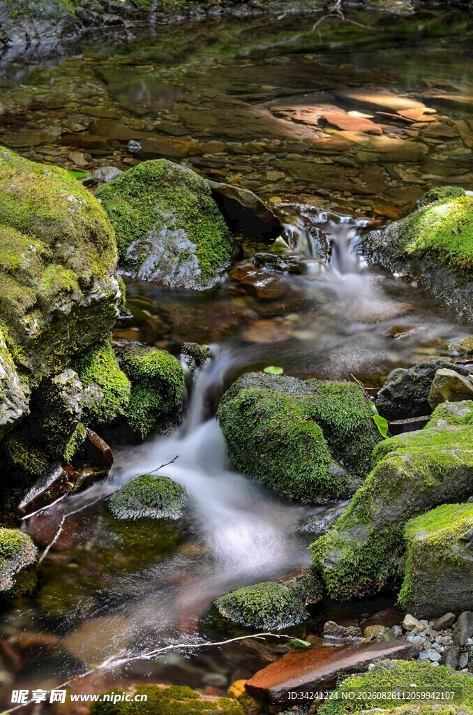 山间溪流潺潺青苔覆石