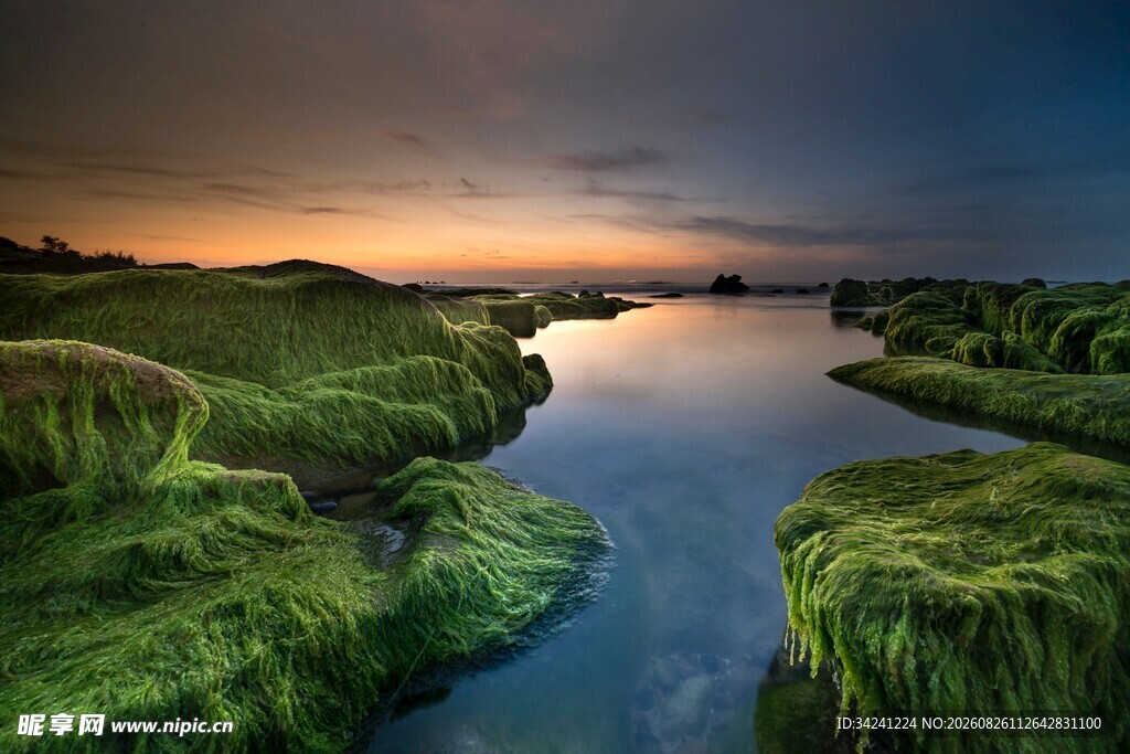 河畔暮色中的自然美景