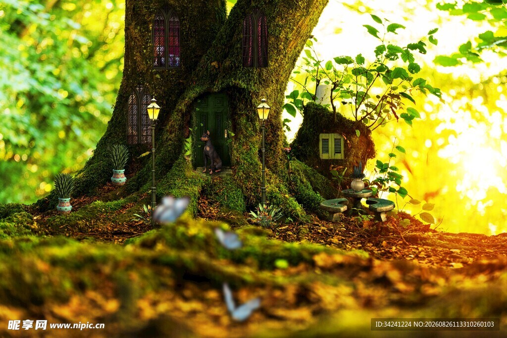 森林中的奇幻树屋场景