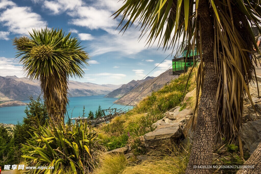 湖畔葱郁美景