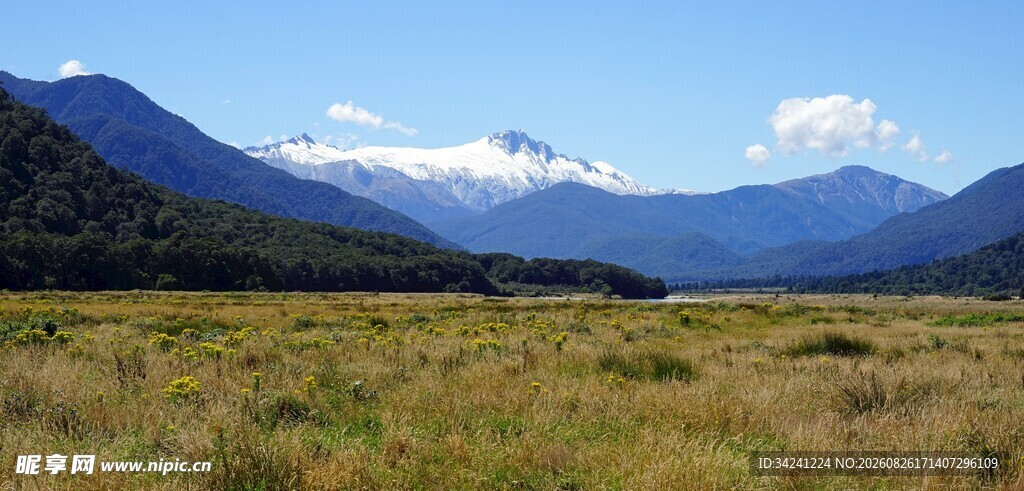 广袤草原与远处雪山美景