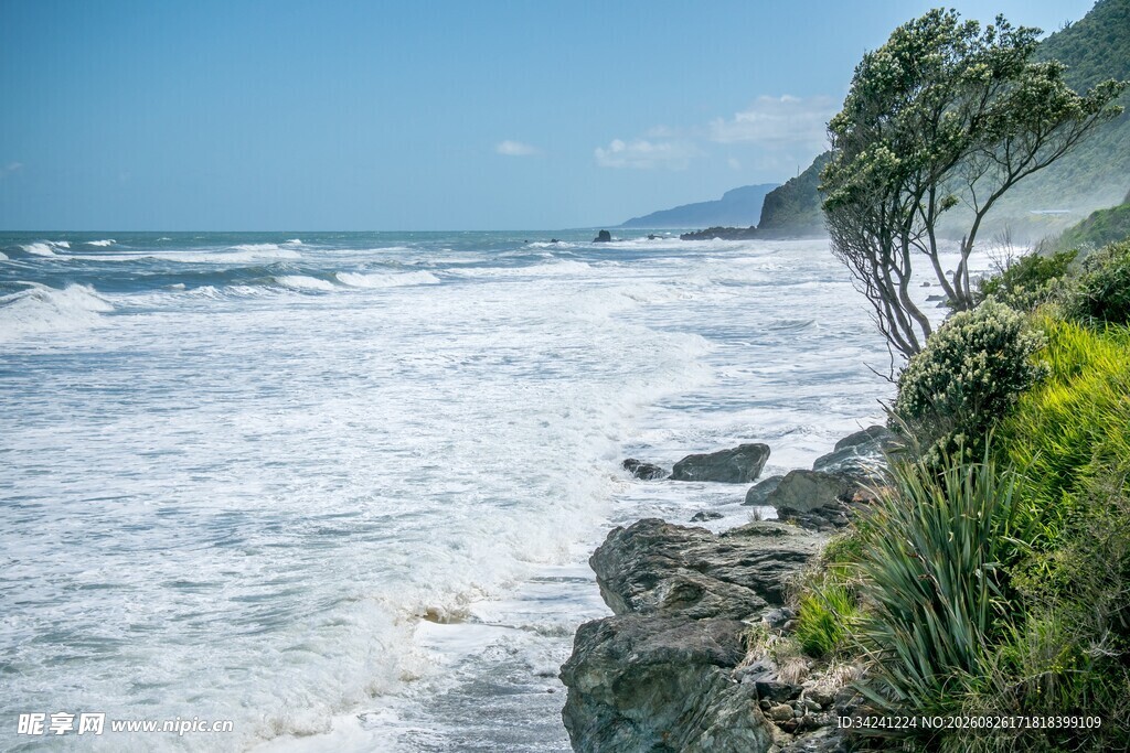 海岸边的海浪与葱郁植被