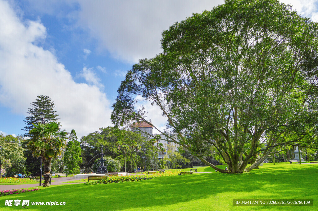 绿意盎然的公园美景