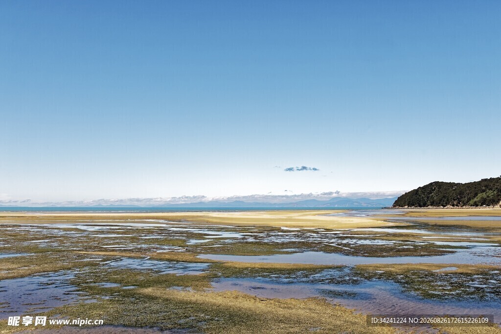 海边湿地风光