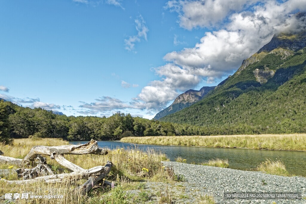 山间河畔美景