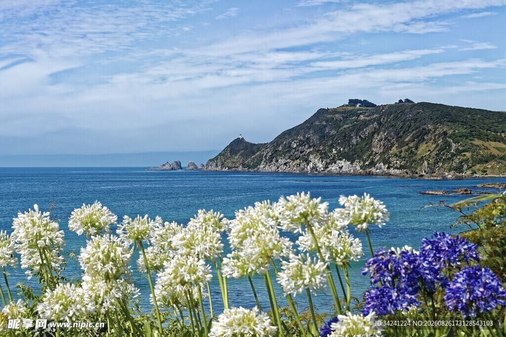 海边烂漫花丛与青山海景