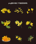 桂花素材