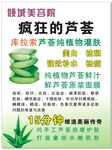 健康美芦荟