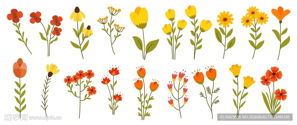 清新花卉素材
