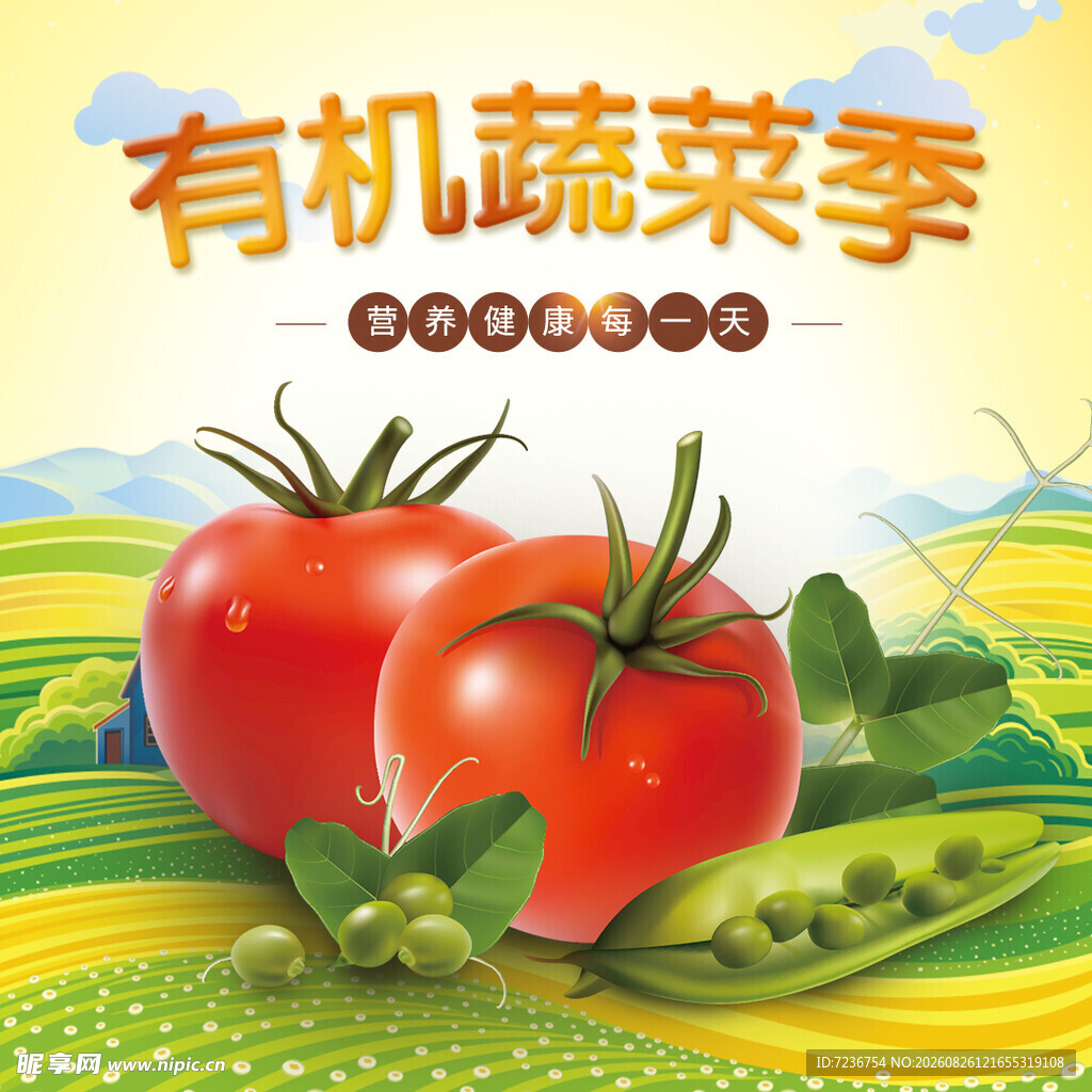 有机蔬菜