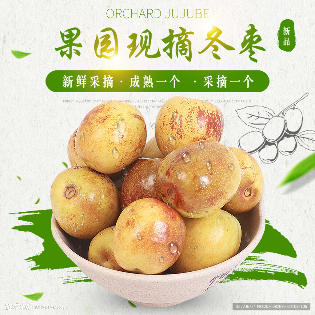 冬枣 