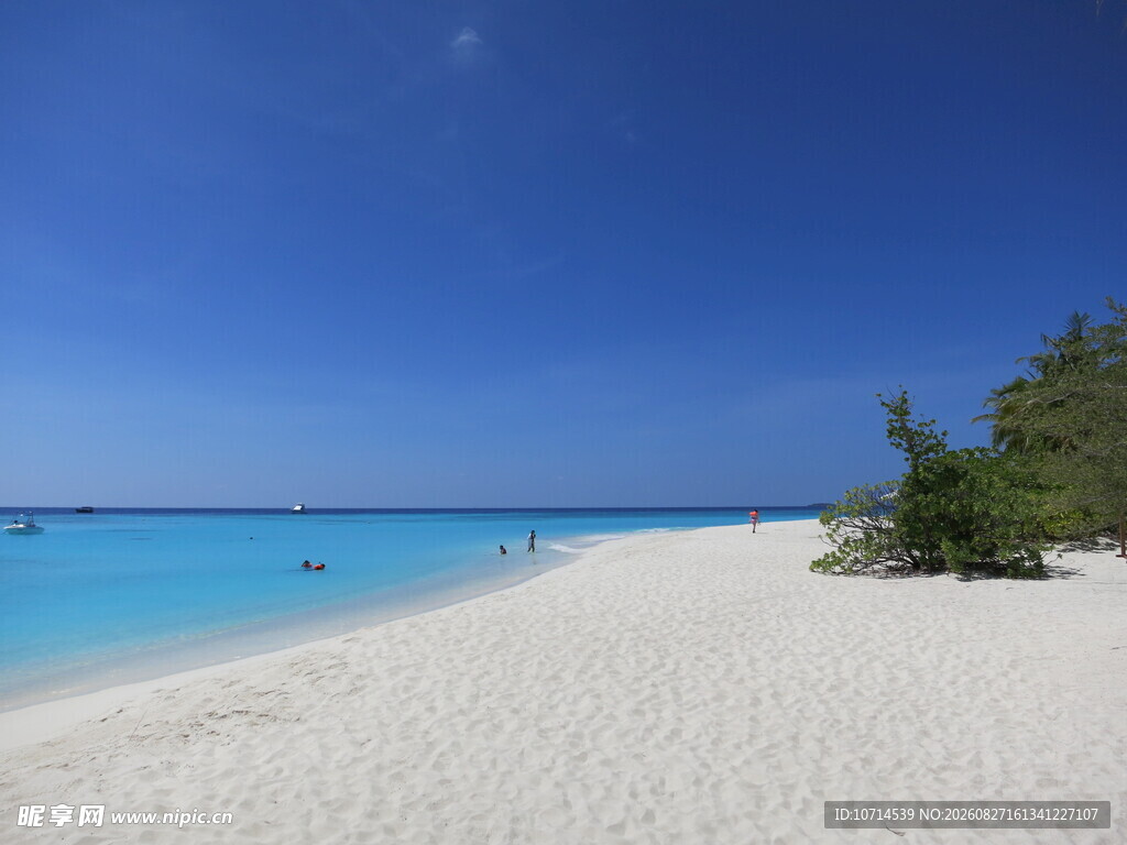 美丽的热带沙滩海景
