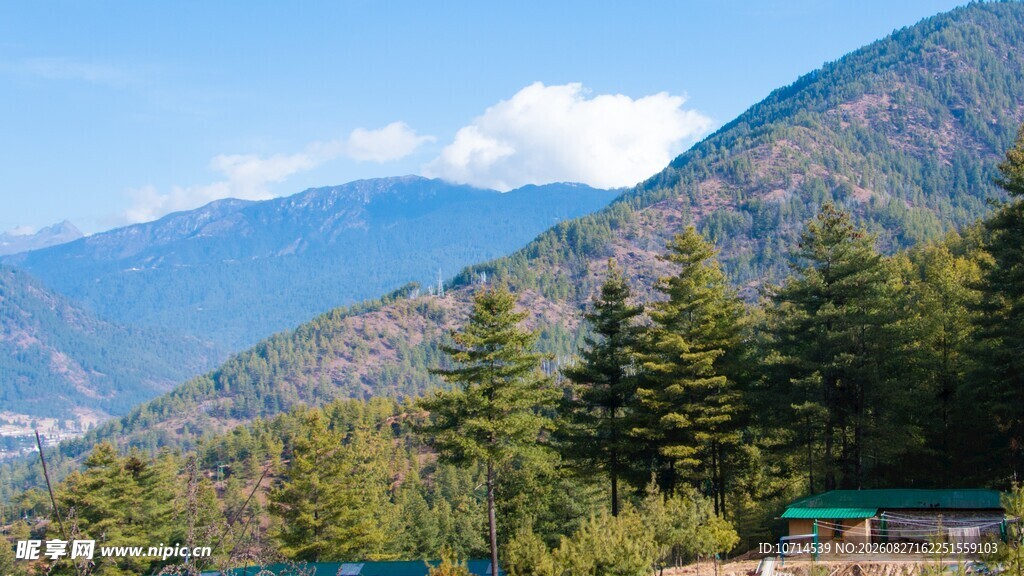 山间美景绿意盎然的山居