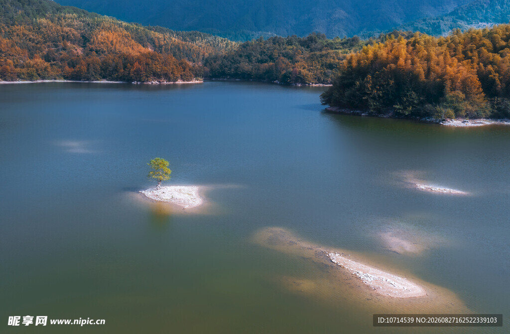 秋日湖景中的灵动波纹
