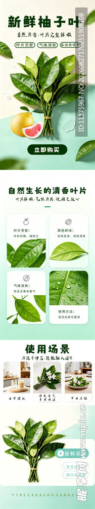 打造清新小角落