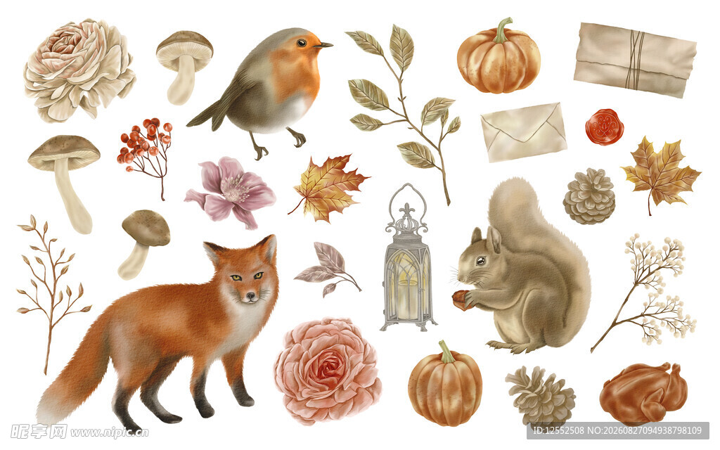 秋日森林动物植物插画集