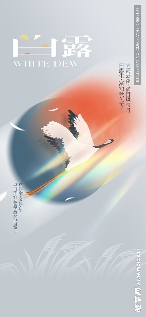 玉兔伴光于草地
