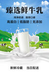 新鲜牛奶海报