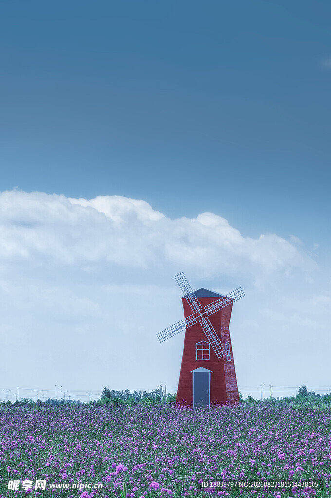 紫色花田中的红色风车