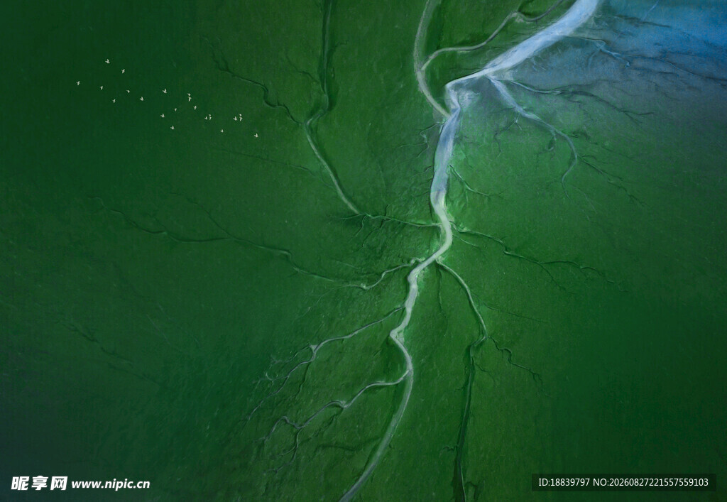 绿色大地中的蜿蜒河流