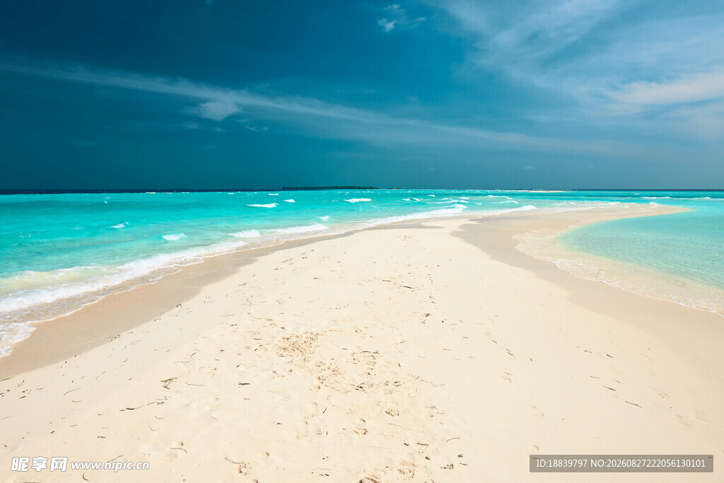 美丽的热带沙滩海景