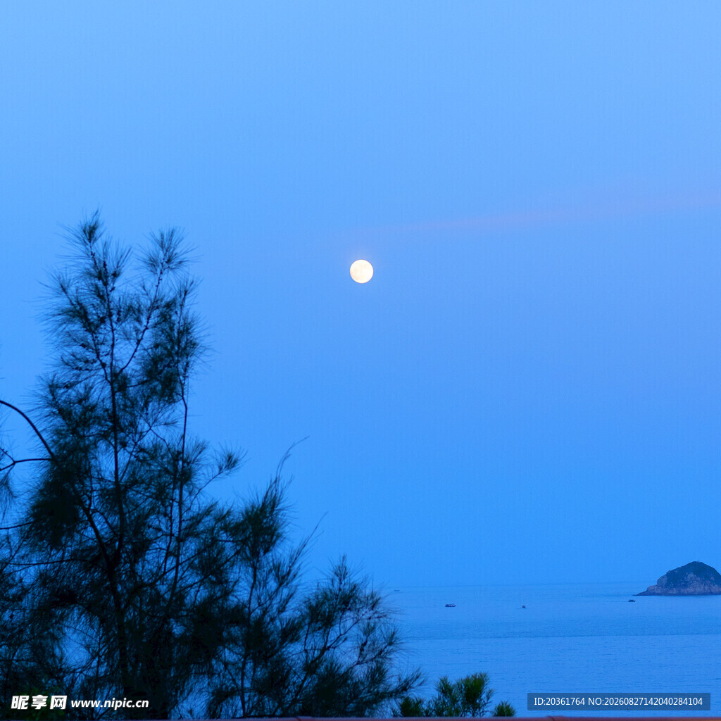 月夜海边树影景色