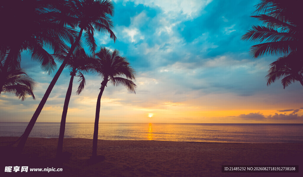 海边日落时的椰林美景