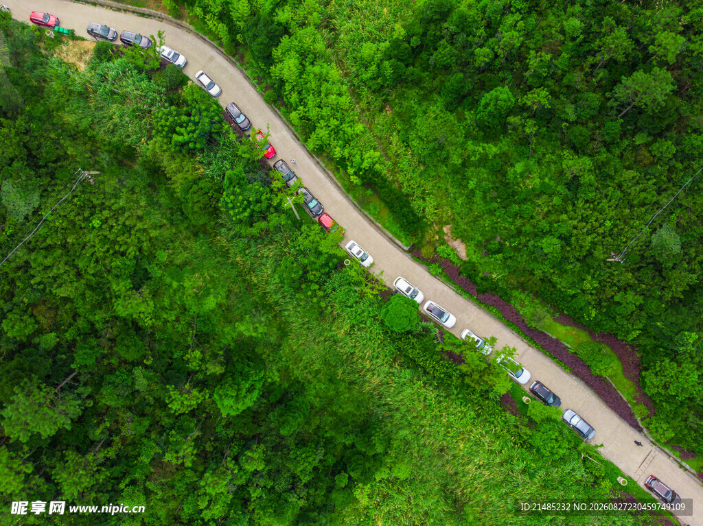 蜿蜒公路穿行翠绿山林