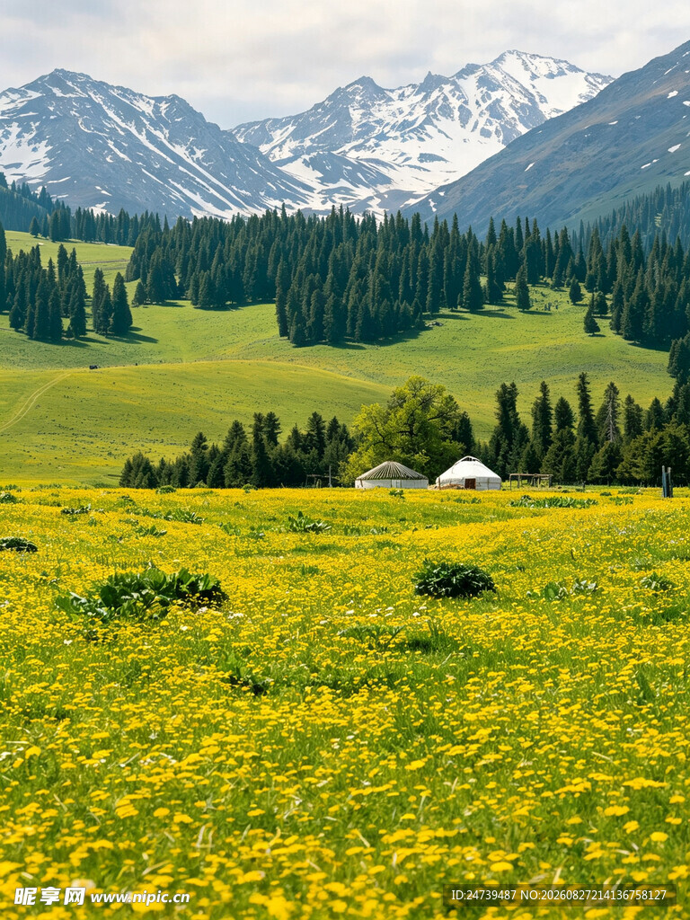 草原花海与远处雪山美景