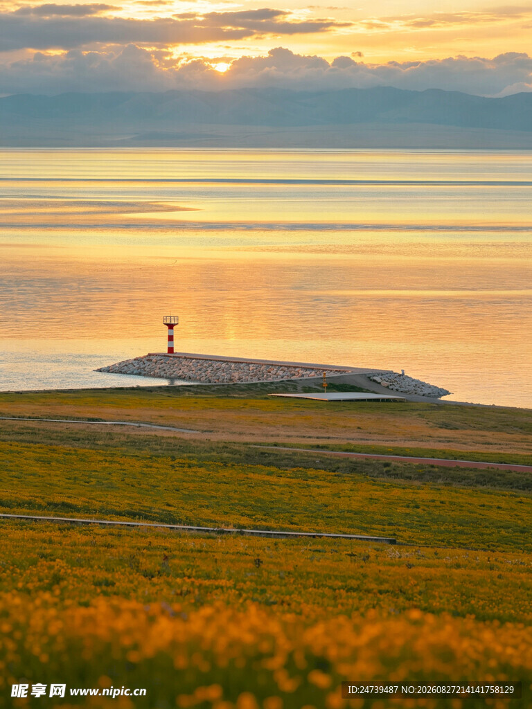 夕阳下花海旁的静谧海港