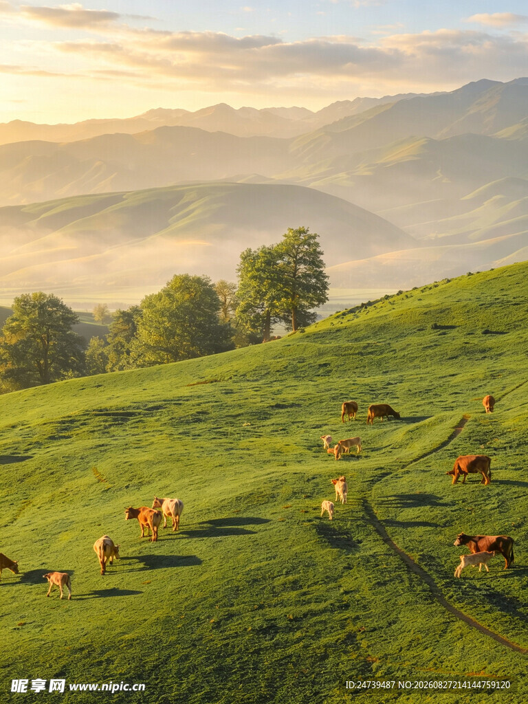 山间牧场景色如画
