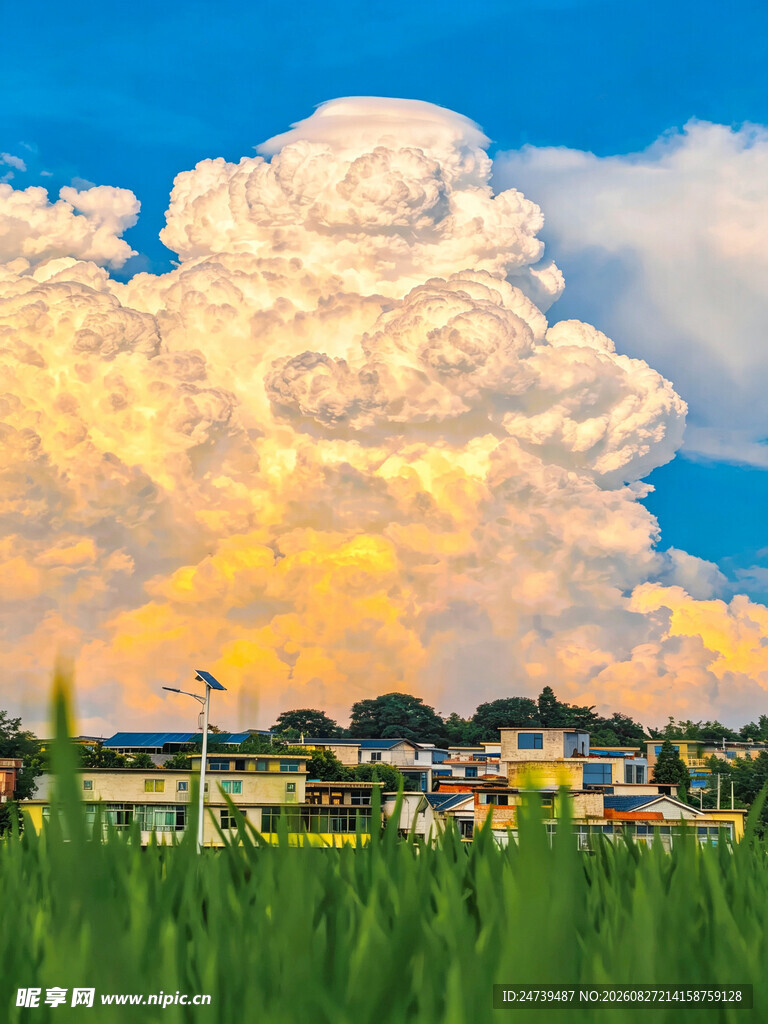 田野上的壮丽云朵景观