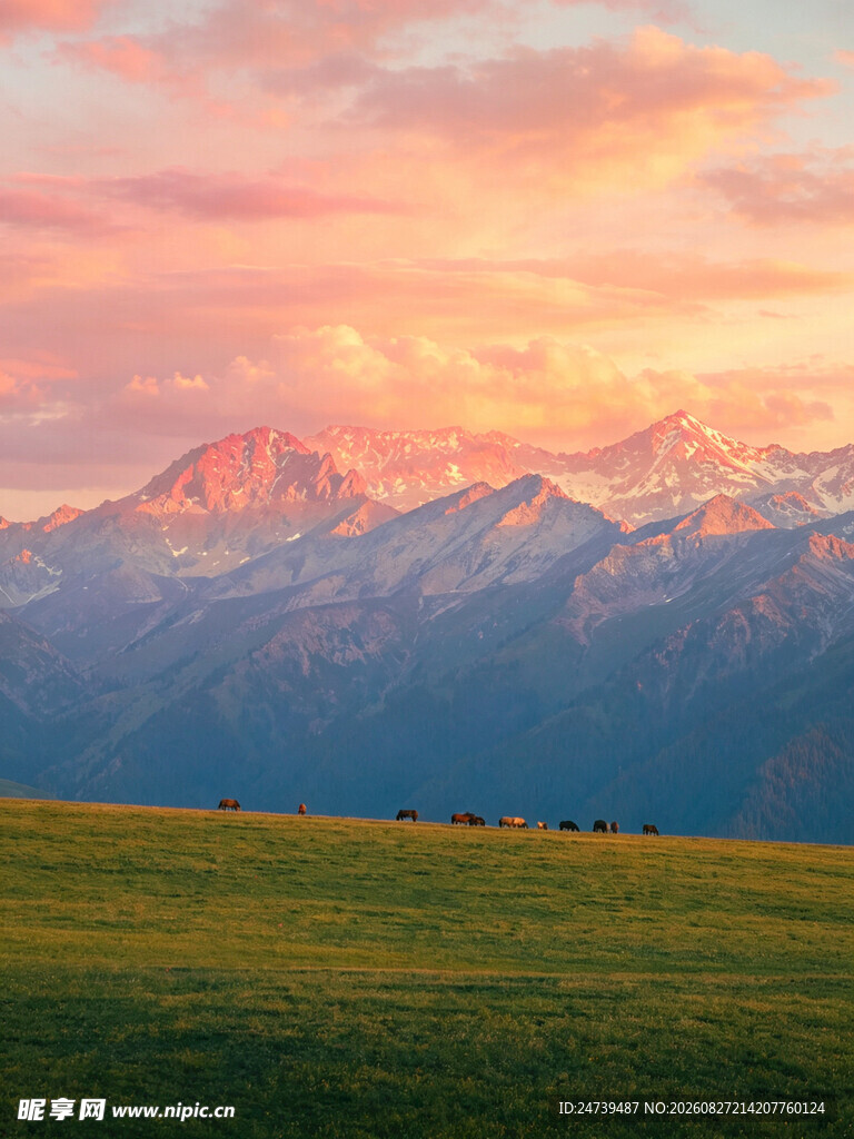 草原上的壮丽雪山日落
