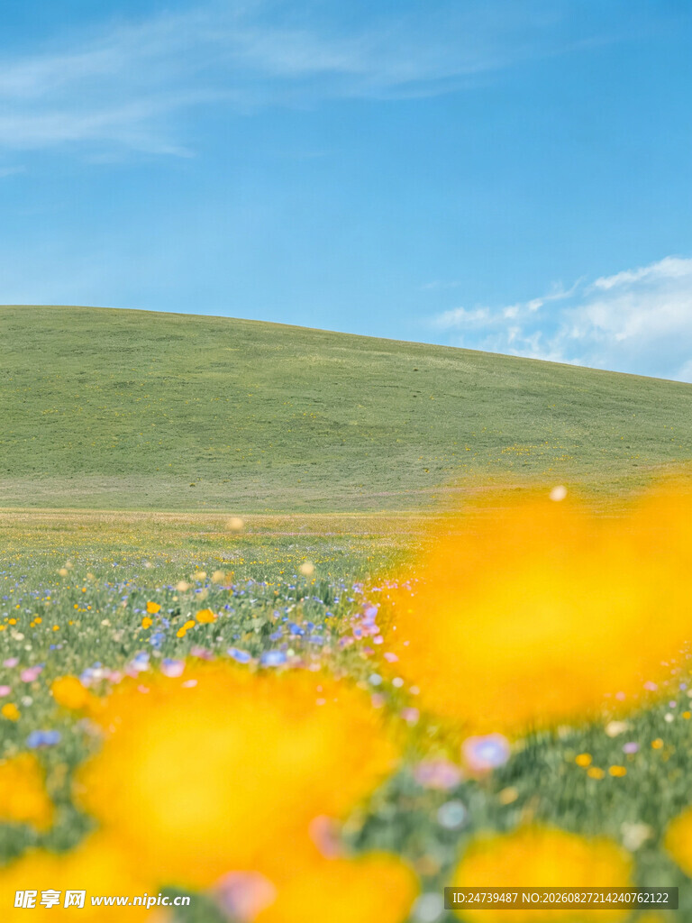 草原花海美景