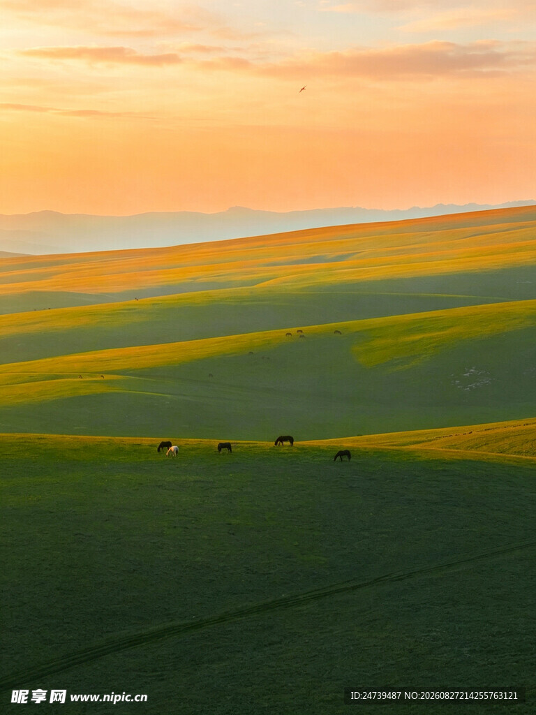 草原黄昏美景