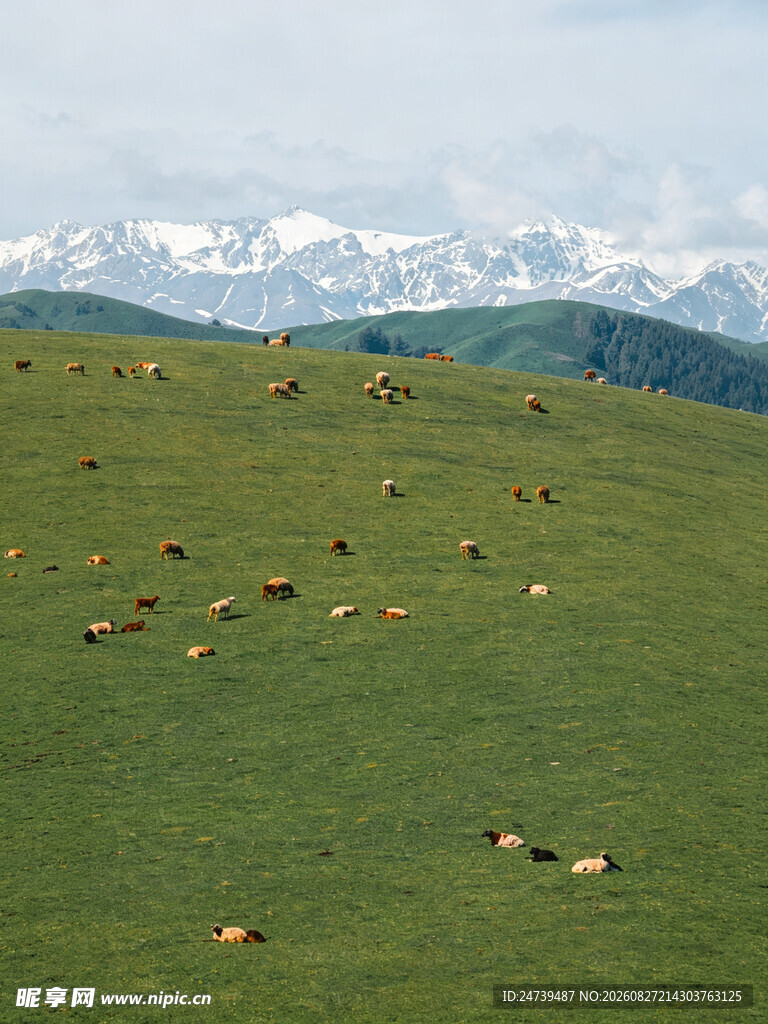 草原牧场景色如画