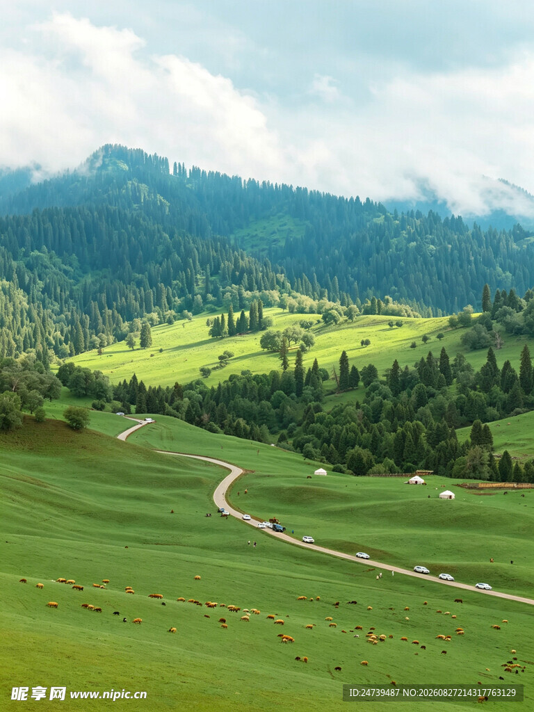 山间绿野美景