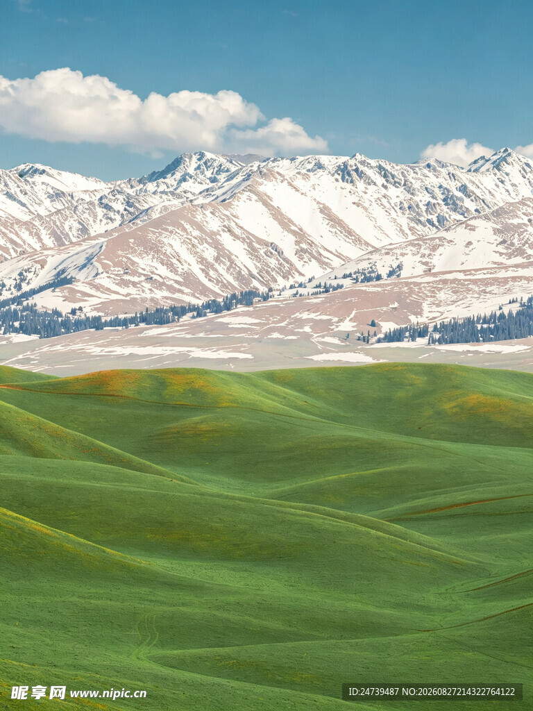 草原雪山美景
