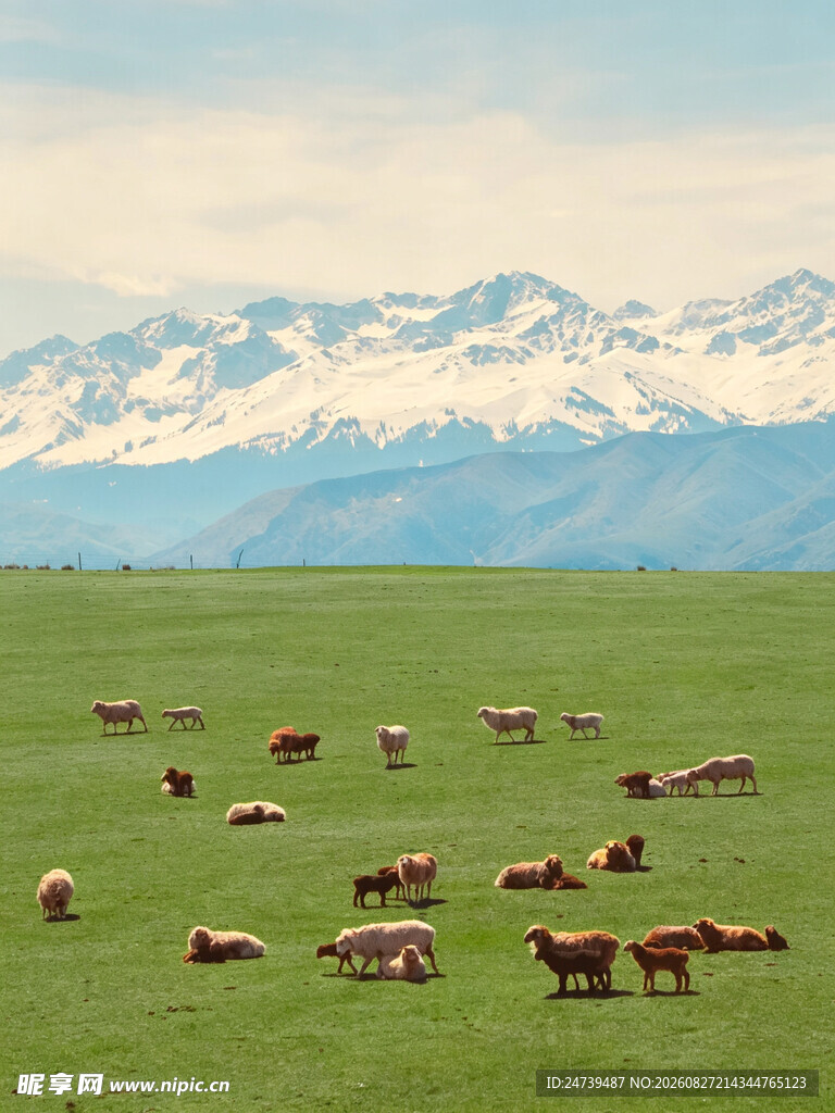 草原牧场景色