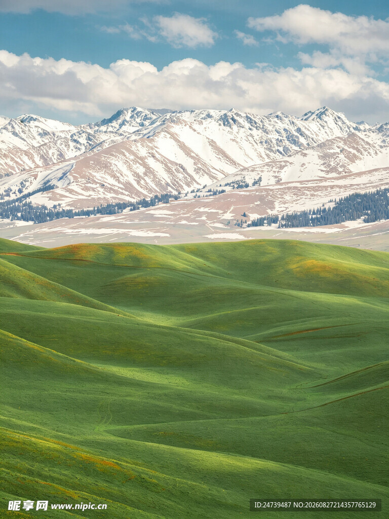 广袤绿野与远处雪山美景